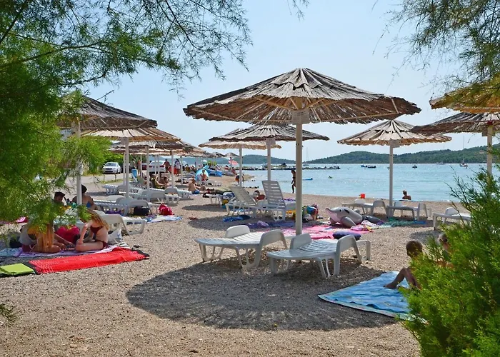 Jasna Summer Barbeque *